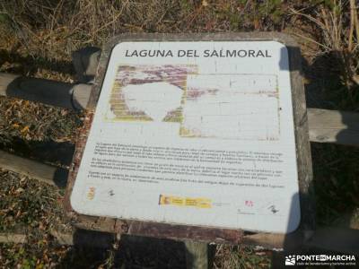 Comida NAVIDAD 2025-Caminos,dehesas Montejo de la Sierra; senderismo sierra de cazorla senderismo vi